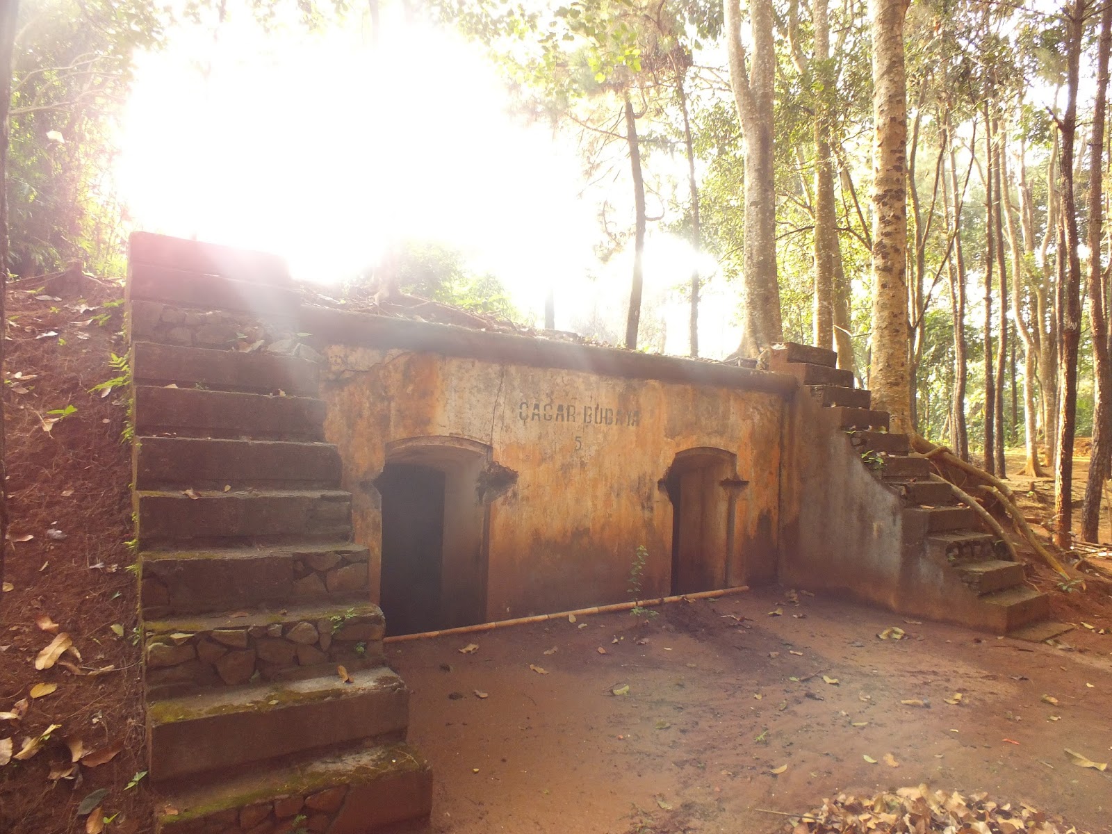 @aa_upayy: Bukit Belakang Rumah Nenek