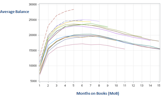 Vintage Analysis : Aveerage Balance