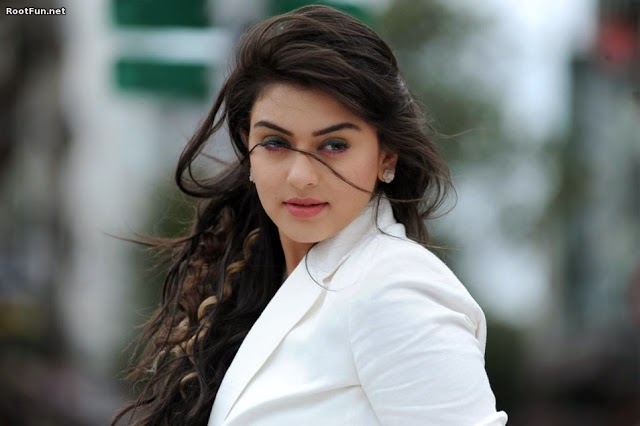 hansika motwani hot and sexy photo hansika motwani hot and sexy photo