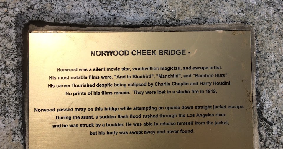 WILD ABOUT HARRY The escape artist who died in my own backyard