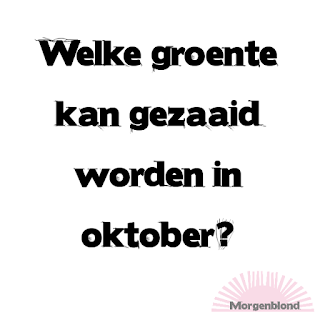 Morgenblond - Huis en tuin - Moestuin - Zaaien in oktober