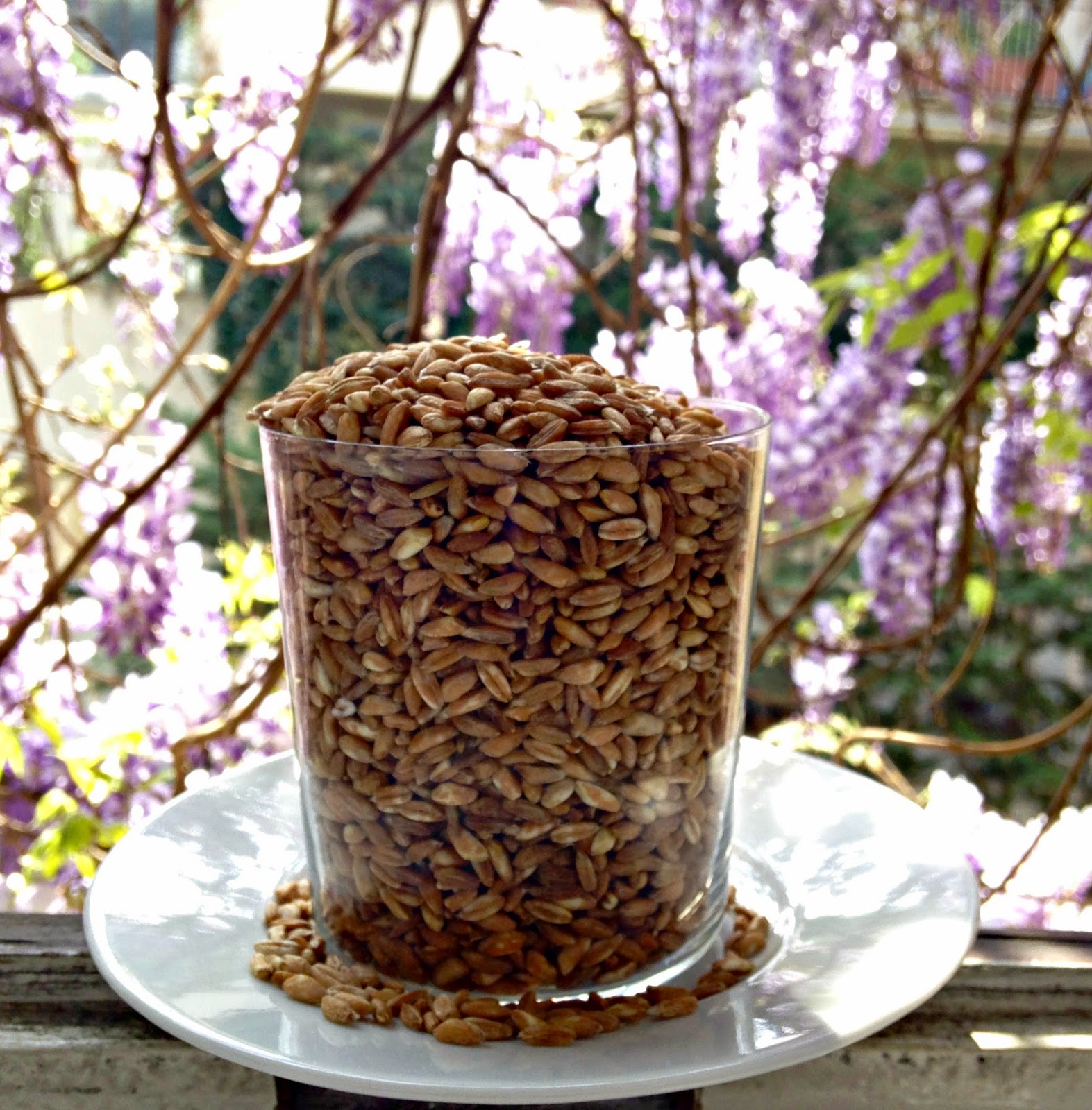 Nuts about food Farrotto al pomodoro