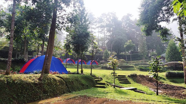 d'jungle private camp bogor d'jungle private camp bogor