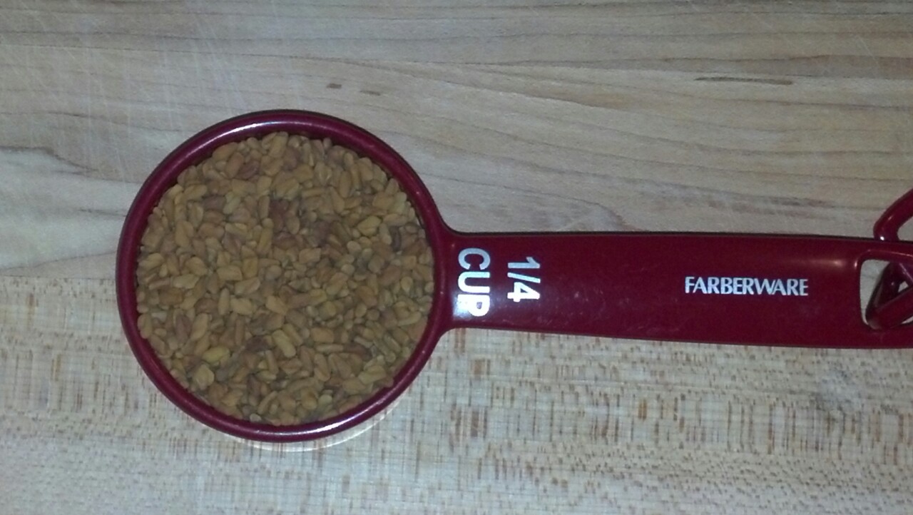 Back to the Basics! Sprouting Fenugreek Day 1