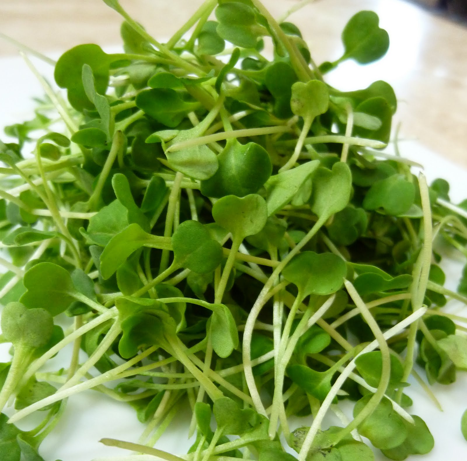 Foods For Long Life Arugula Sprouts Makes A Spicy Topping For Almost
