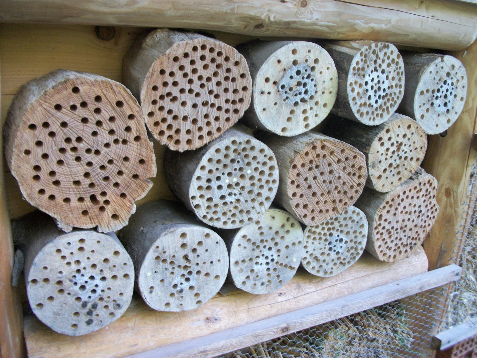 Temperate Climate Permaculture: Permaculture Projects: Structures for ...