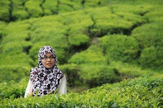 Puisi Harapan Keinginanku Karya Rumaiza Puisi Harapan Keinginanku Karya Rumaiza