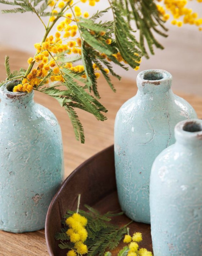 Ilumina tu casa con mimosas Ilumina tu casa con mimosas