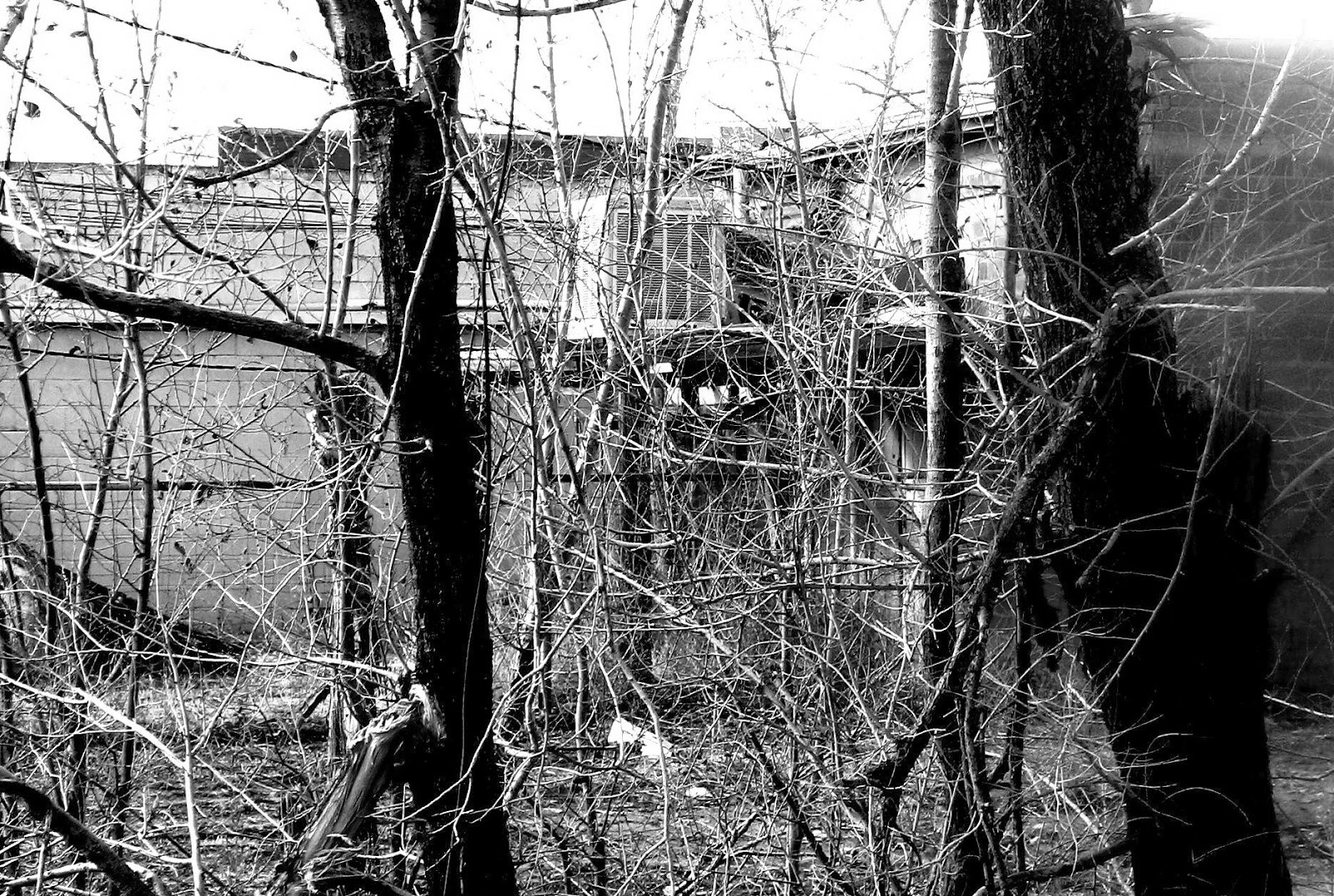 Lubbock Unplugged or Unhinged Visions Of Tahoka