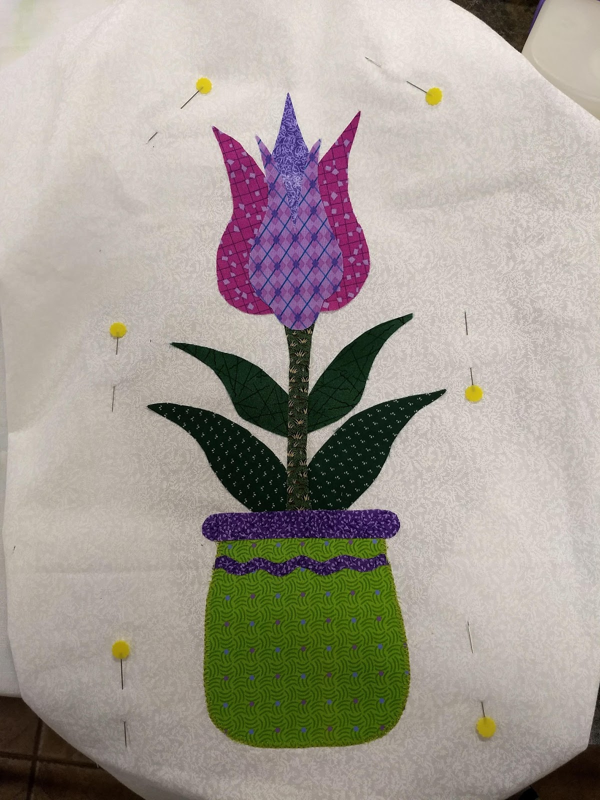 sterquilt Apple River Quilt Guild Class! Eye Candy Ahead!