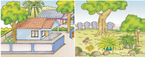 BELAJAR: pengertian lingkungan