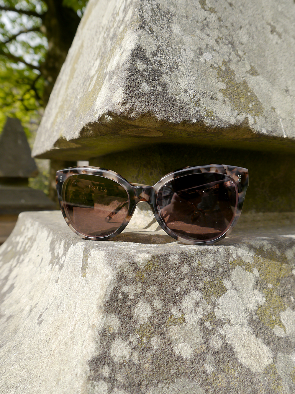 IOLLA Swinton sunglasses frames in tortoiseshell IOLLA Swinton tortoise shell sunglasses, IOLLA glasses, photoshoot in Stockbridge, oversized tortoishell catseye sunglasses