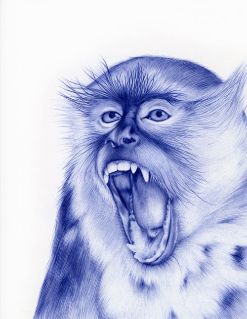 09-Monkey-Sarah-Esteje-ABADIDABOU-Hyper-realistic-Ballpoint-Pen-Animals-www-designstack-co