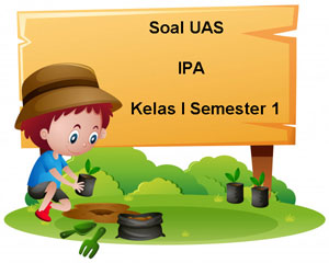 Soal UAS IPA Kelas 1 Semester 1 plus Kunci Jawaban ~ Juragan Les