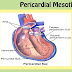 Peritoneal Mesothelioma | Treatment, Prognosis & Diagnosis