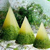 Pudding Recipe Special Moss Pudding Recipe Special Moss
