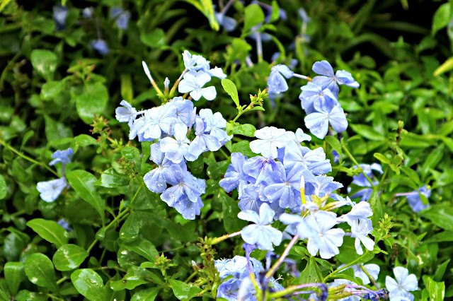 Quezon Memorial Circle Photo Walk