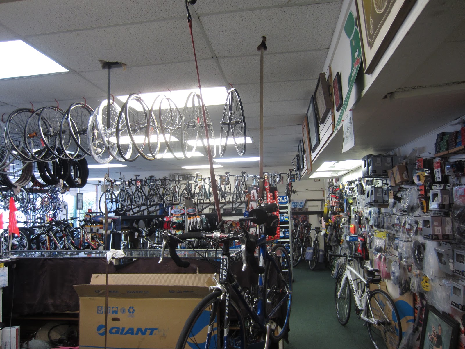 Bruce I'm here Bike doctor