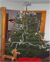 Xmas, Christmas tree, Frugal
