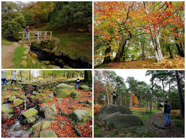 Longshaw Estate walks