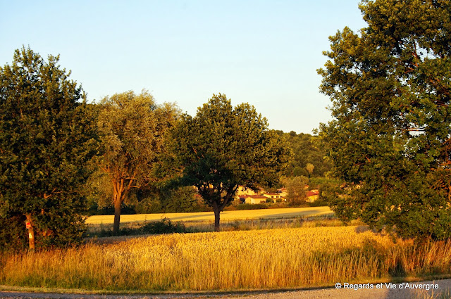 soleil couchant sur la campagne