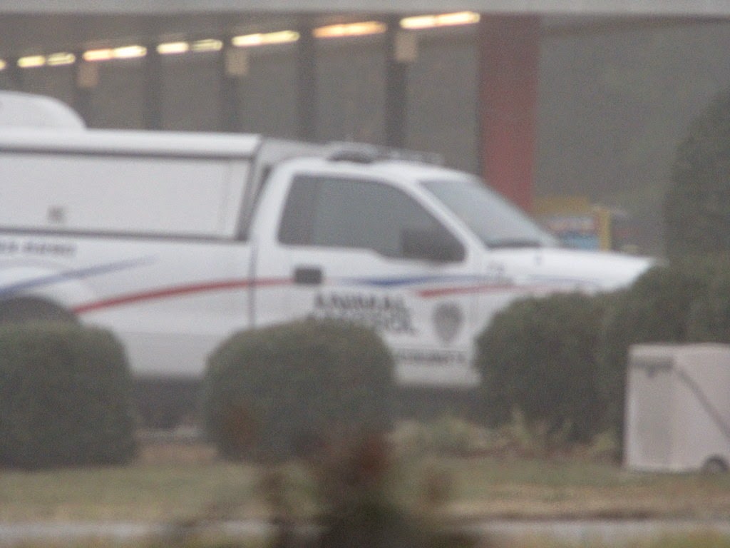 Gloucester VA Links and News Gloucester, Virginia Animal Control Still