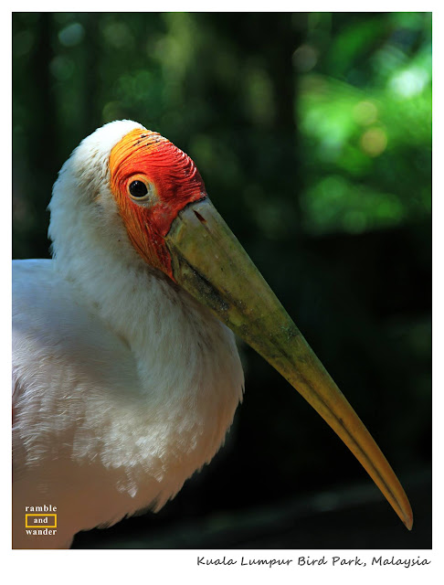Malaysia: Kuala Lumpur Bird Park | Ramble and Wander