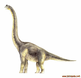 Imagem Realista Do Dinossauro: Brachiosaurus Retrata Imagem