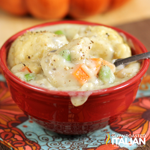 Chicken and Dumplings in 30 Minutes