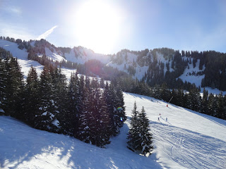The sun shines bright against a blue ski in French Alps  in  Portes du Soleil. evergreen strees on the snowy slopes.