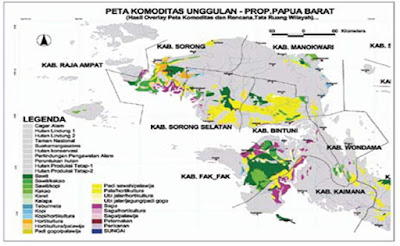 Menghitung Potensi Perkebunan Kelapa Sawit di Papua Barat Menghitung Potensi Perkebunan Kelapa Sawit di Papua Barat