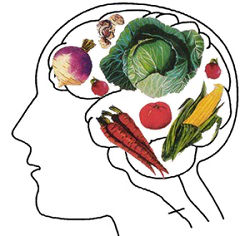 Filosofía y pensamiento vegano sobre reducir sufrimiento. Filosofía vegana sobre reducir sufrimiento.