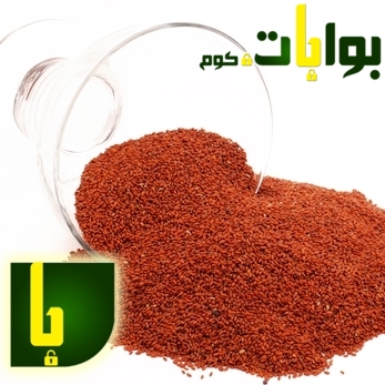 حب الرشاد: ماهي فوائده واضراره؟