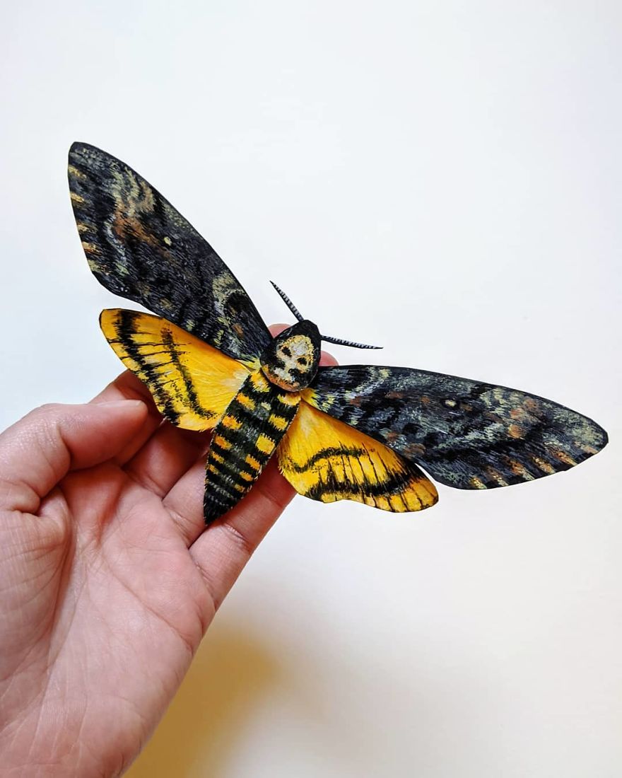 Boulevard Art Class: Kerilynn Wilson's Realistic Insects