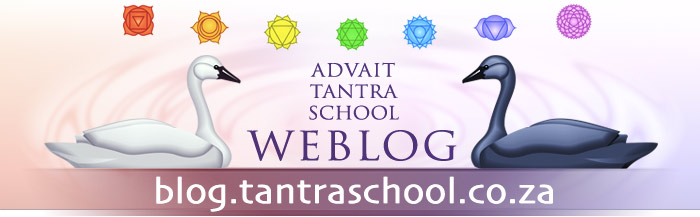 Advait Tantra School WEBLOG