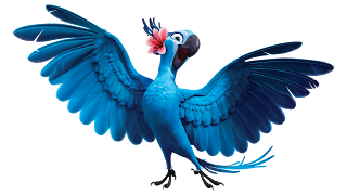 Render - Rio | Renders Dez