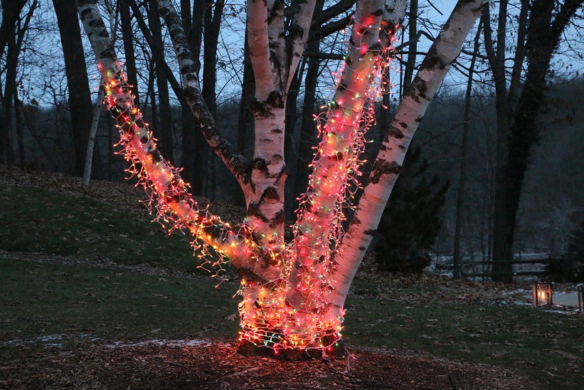 Michigan Exposures Hidden Lake Gardens Holiday Lights