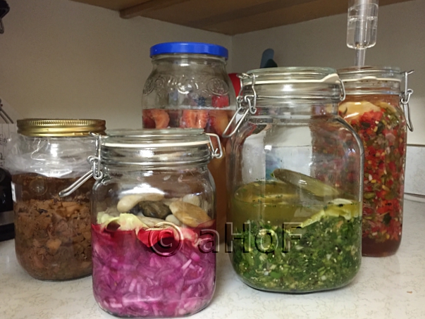 fermenting, rhubarb, onion, spritzers,