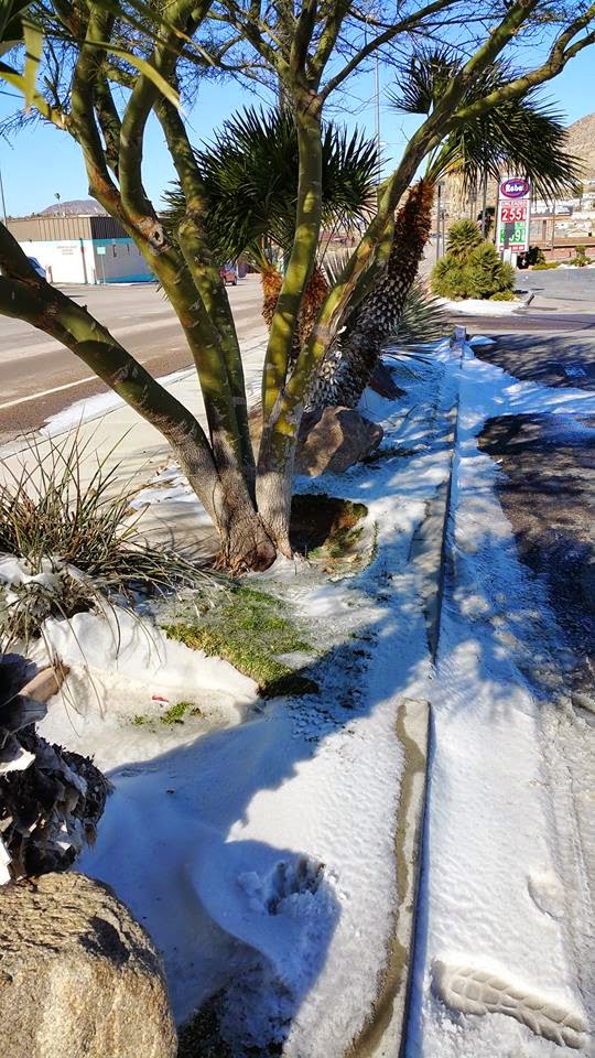 Laughlin Buzz Snow in Laughlin