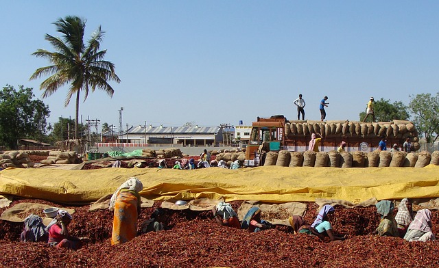 Market in India Market in India