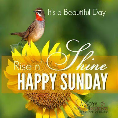 good morning shayari good morning shayari