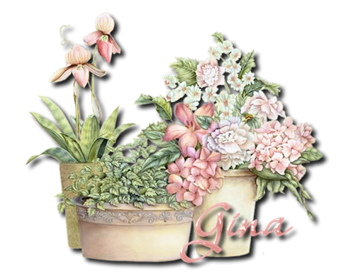 Sago Palm Outdoor Care | Subtropical Gardening