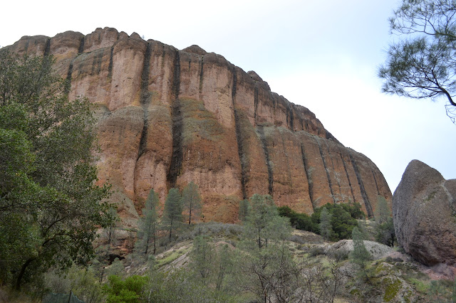 lined rock face