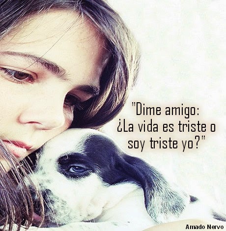 Frases De Nostalgia Tristezas De La Vida Imagenes Y