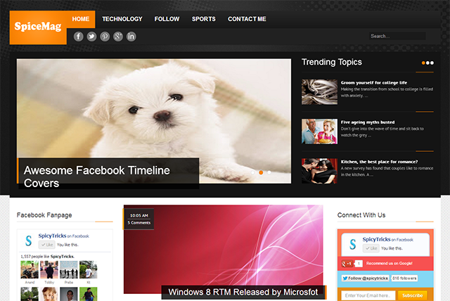 SpiceMag Blogger Template