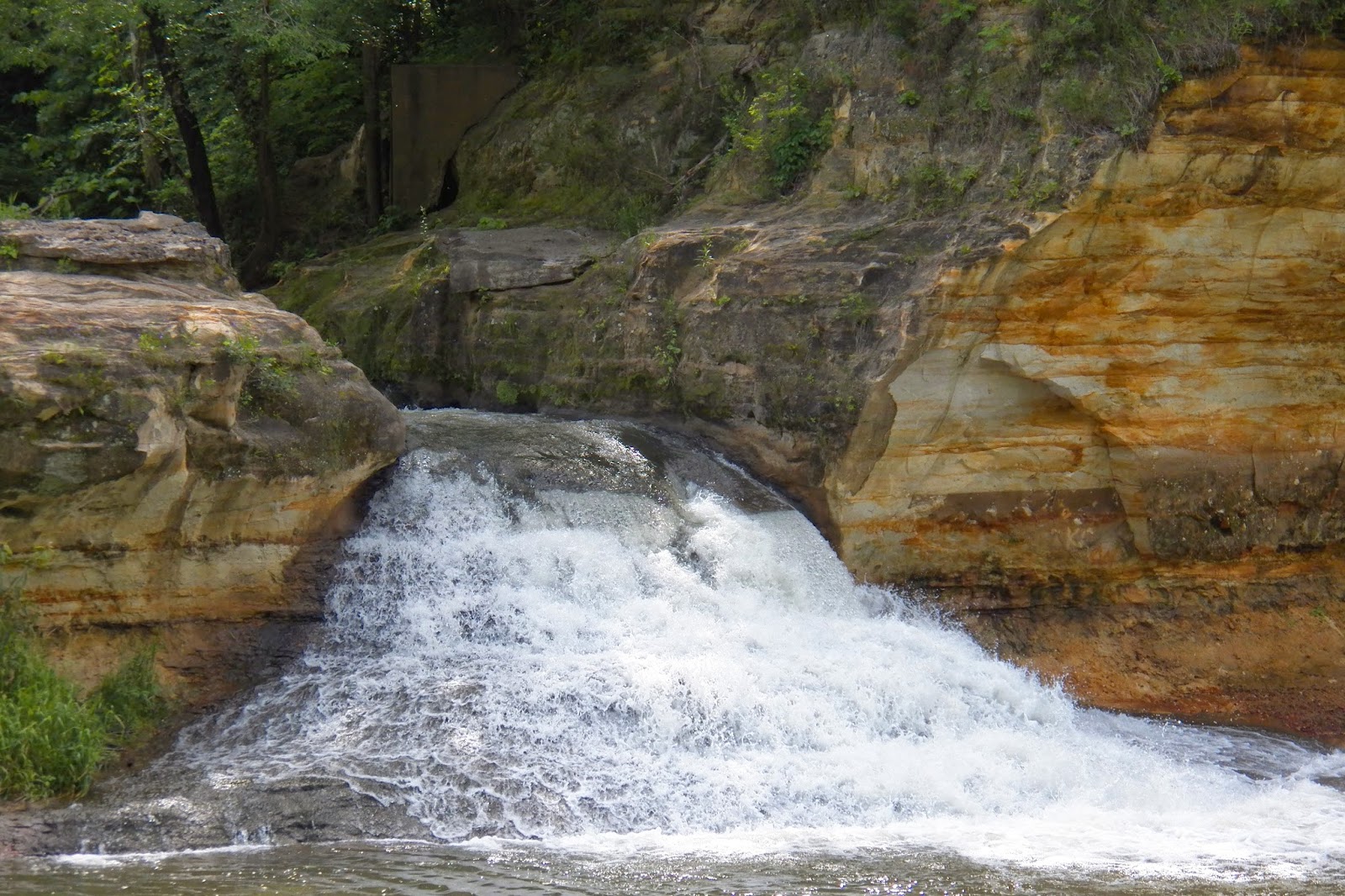 NATURE NOTES June 2014