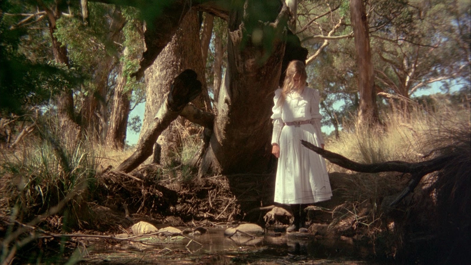 cranes are flying Picnic at Hanging Rock cranes are flying Picnic at Hanging Rock