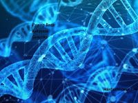 3 Prinsip Dasar Rekayasa Genetika (Rekombinasi DNA, Fusi Sel, Kultur Jaringan)