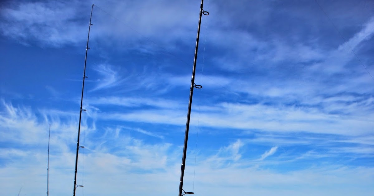 Litton’s Fishing Lines: Island Beach State Park Beach Day and Multiple