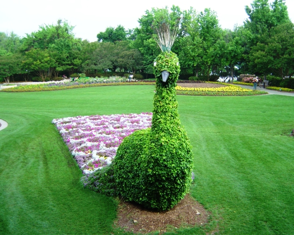Beautiful animal topiary